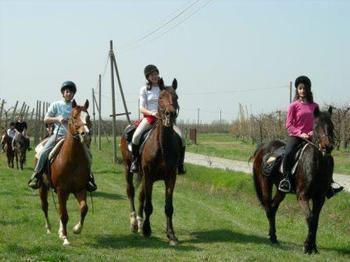 Agriturismo La Riccardina Budrio  Ngoại thất bức ảnh